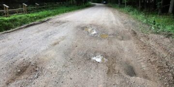 fot. Lasy Państwowe (zdjęcie ilustracyjne)