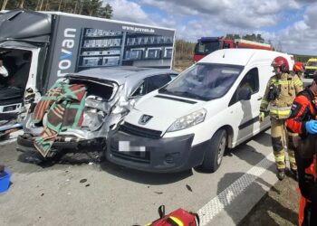 Fot. Komenda Powiatowa Państwowej Straży Pożarnej w Słubicach/FB