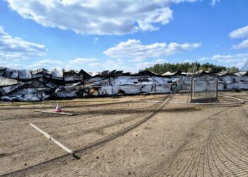 Pożar kurnika Lipinki