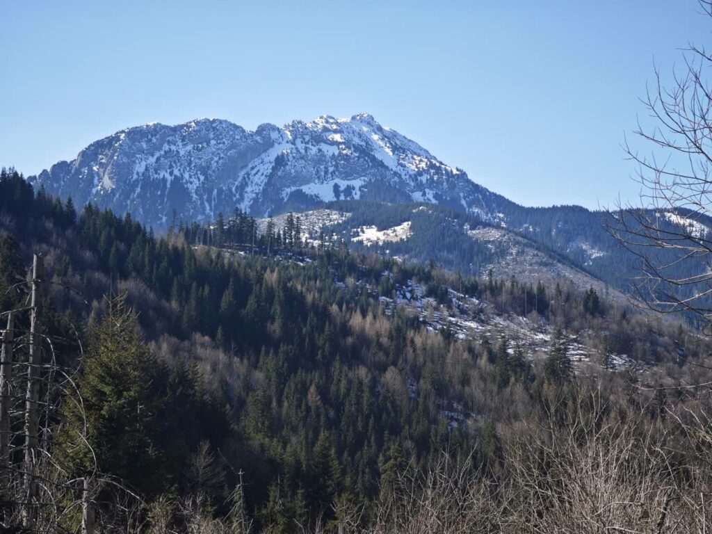 Tatrzański Park Narodowy/FB