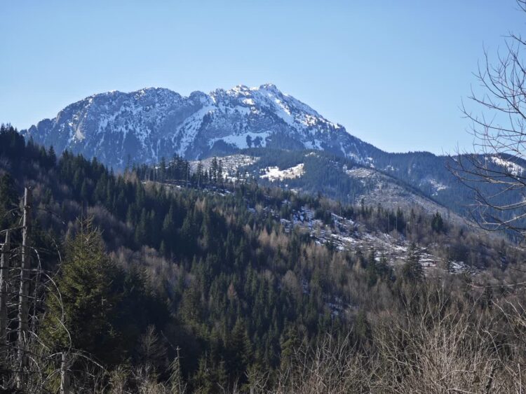 Tatrzański Park Narodowy/FB