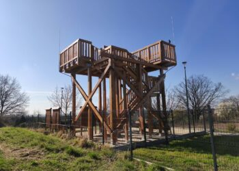 fot. Marzena Wróbel-Szała