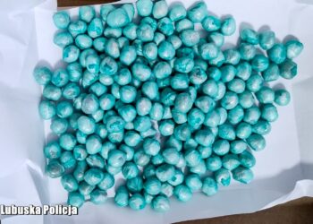 fot. Lubuska Policja