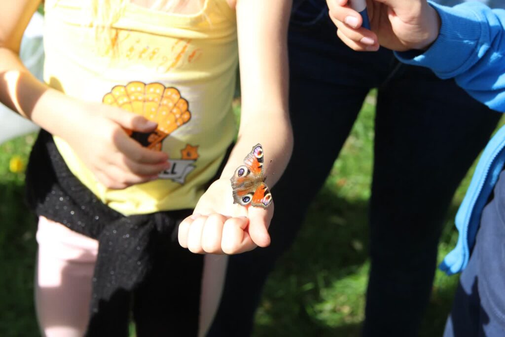 Fot. Fundacja Dziupla Inicjatyw Przyrodniczych/FB