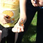 Fot. Fundacja Dziupla Inicjatyw Przyrodniczych/FB