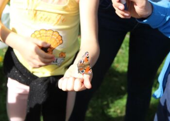 Fot. Fundacja Dziupla Inicjatyw Przyrodniczych/FB