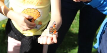 Fot. Fundacja Dziupla Inicjatyw Przyrodniczych/FB