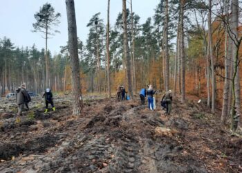 Justyna Budzan UMiG w Witnicy / www.facebook.com