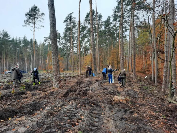 Justyna Budzan UMiG w Witnicy / www.facebook.com