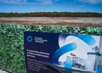 Teren pod budowę pierwszej polskiej elektrowni jądrowej w lokalizacji „Lubiatowo-Kopalino” w gminie Choczewo w 2024 roku, fot. PAP/Adam Warżawa