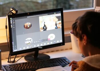 zdjęcie ilustracyjne/Pixabay