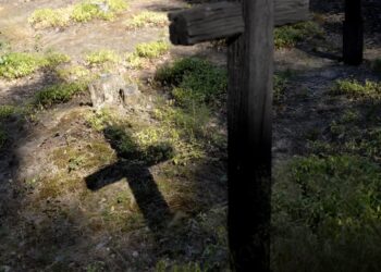 Cmentarz w Ostrówkach, zdjęcie ilustracyjne, fot. PAP/Darek Delmanowicz