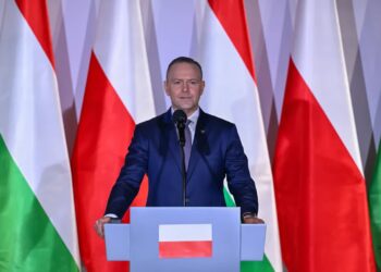 Prezydent Karol Nawrocki. Fot. PAP/ Darek Delmanowicz