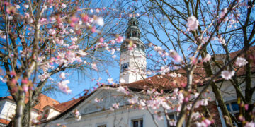 fot. Krzysztof Filmanowicz