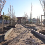 fot. Zofia Popielecka - Urząd Miejski w Babimoście