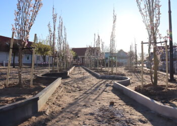 fot. Zofia Popielecka - Urząd Miejski w Babimoście