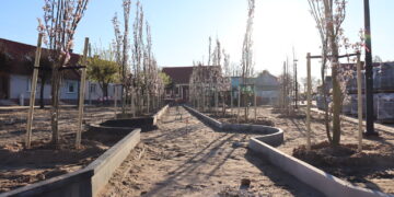 fot. Zofia Popielecka - Urząd Miejski w Babimoście