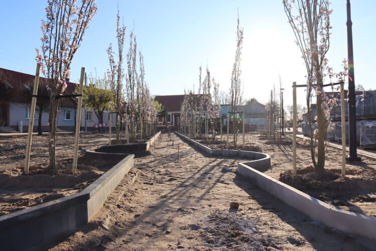 fot. Zofia Popielecka - Urząd Miejski w Babimoście