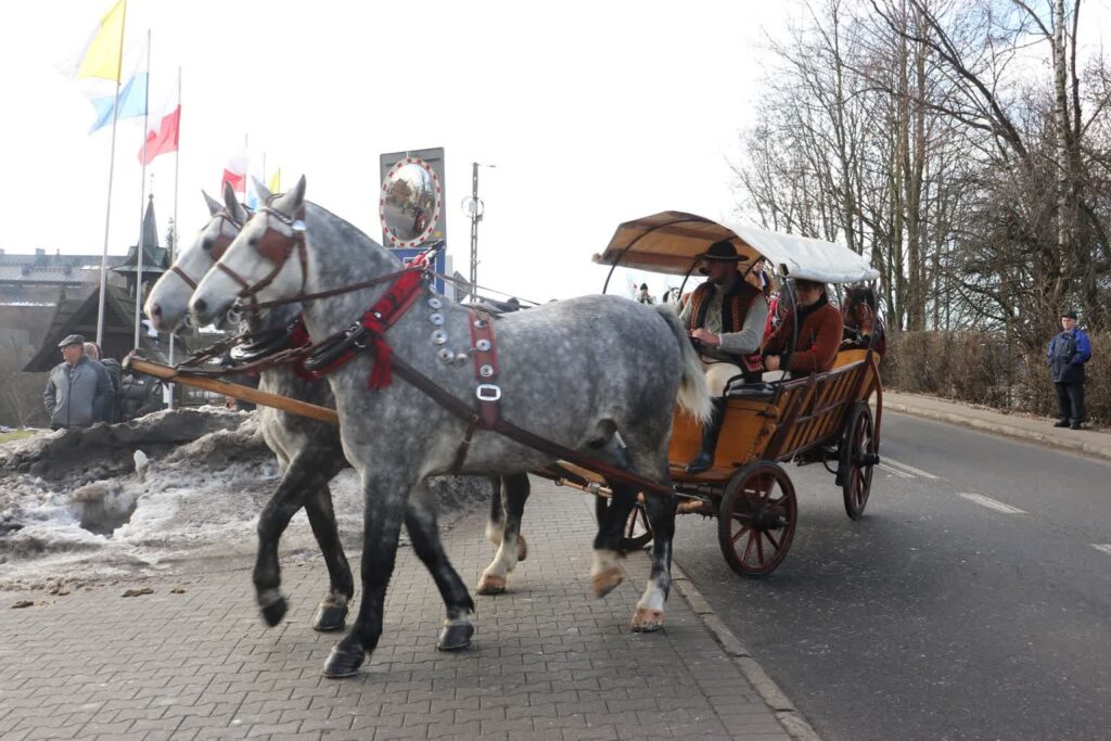 Fot. Konie Morskie Oko/FB