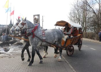 Fot. Konie Morskie Oko/FB