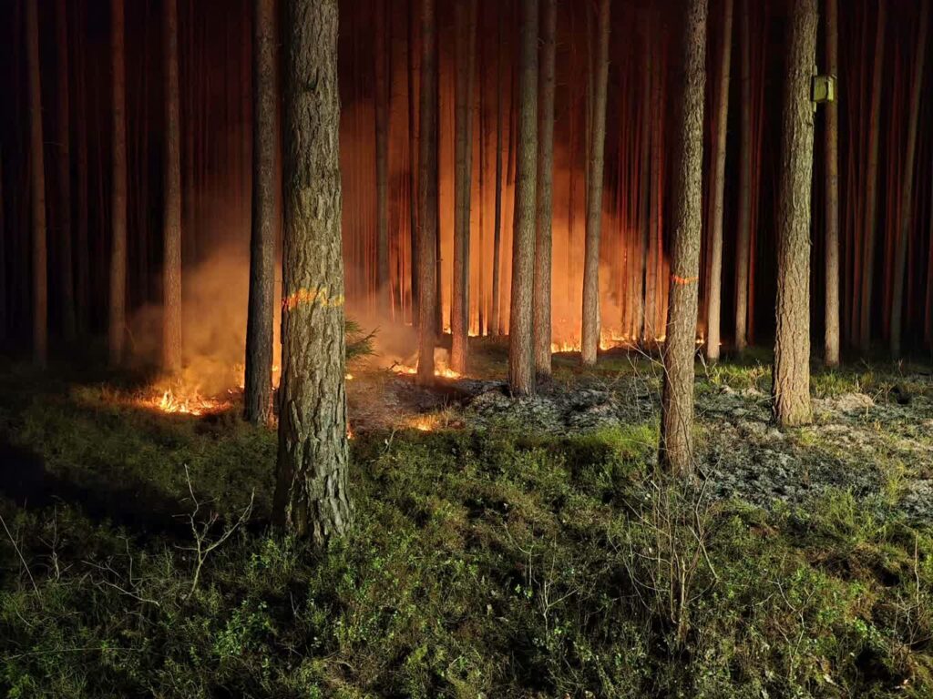 fot. Nadleśnictwo Wymiarki