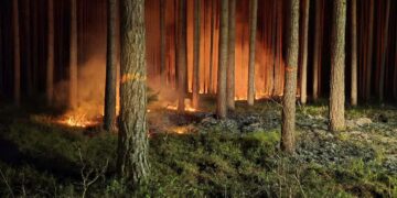 fot. Nadleśnictwo Wymiarki