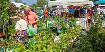 kiermasz ogrodniczy w Nowej Soli