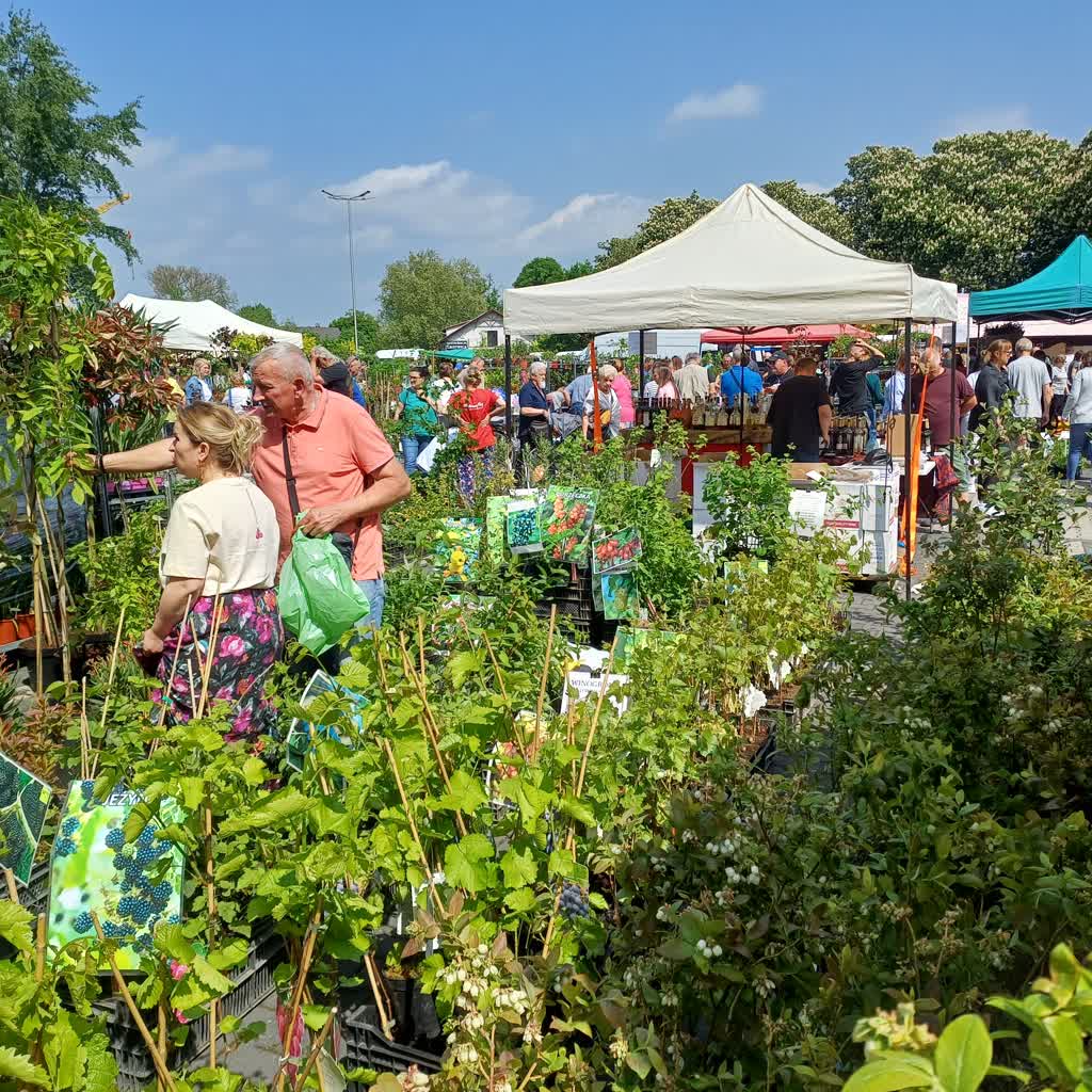 Przed nami nowosolski kiermasz ogrodniczy