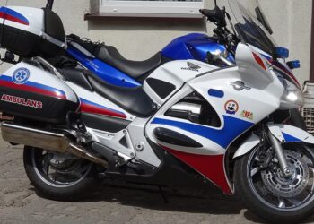 LukaszKatlewa / www.commons.wikimedia.org / licencja Creative Commons