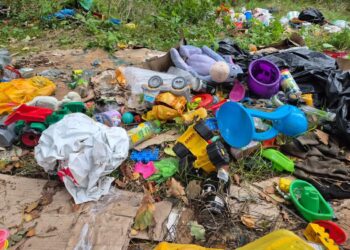 fot. Nadleśnictwo Wymiarki