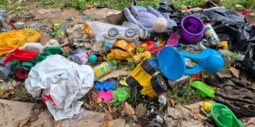 fot. Nadleśnictwo Wymiarki