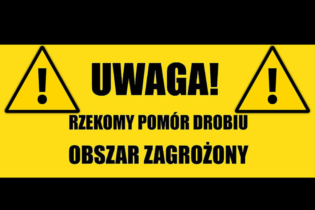 fot. UM Zielona Góra