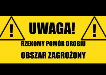 fot. UM Zielona Góra