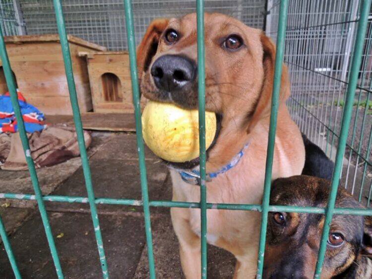 fot. Aurelia Adaszyńska