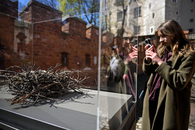 Kraków, 23.04.2026. Otwarcie po zakoñczonym remoncie Smoczej Jamy w zachodnim zboczu Wawelu i udostêpnienie zwiedzaj¹cym nowej wystawy w Ogrodach Zamku, 23 bm. (ad) PAP/Art Service