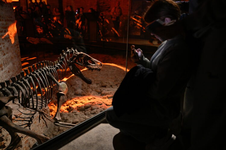 Kraków, 23.04.2026. Otwarcie po zakoñczonym remoncie Smoczej Jamy w zachodnim zboczu Wawelu i udostêpnienie zwiedzaj¹cym nowej wystawy w Ogrodach Zamku, 23 bm. (ad) PAP/Art Service