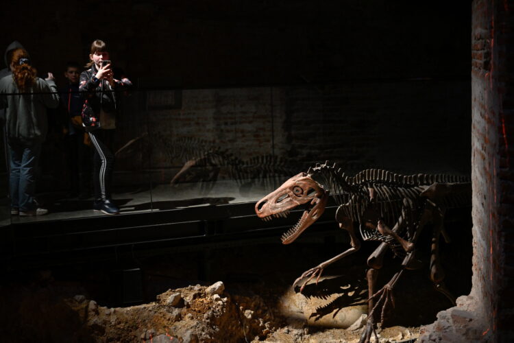 Kraków, 23.04.2026. Otwarcie po zakoñczonym remoncie Smoczej Jamy w zachodnim zboczu Wawelu i udostêpnienie zwiedzaj¹cym nowej wystawy w Ogrodach Zamku, 23 bm. (ad) PAP/Art Service