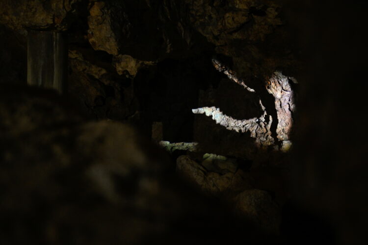 Kraków, 23.04.2026. Otwarcie po zakoñczonym remoncie Smoczej Jamy w zachodnim zboczu Wawelu i udostêpnienie zwiedzaj¹cym nowej wystawy w Ogrodach Zamku, 23 bm. (ad) PAP/Art Service