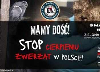 zdjęcie ilustracyjne/Facebook