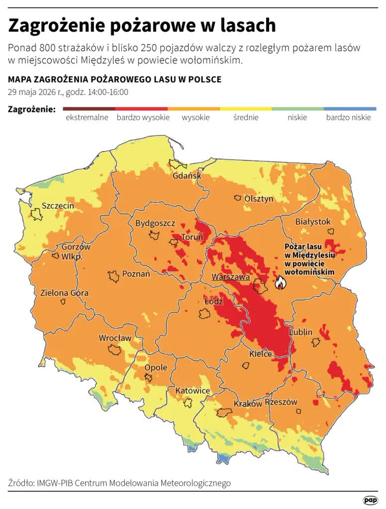 igrafika_20260529_03.png.webp
