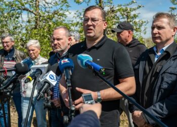 Minister rolnictwa zapowiada pomoc dla sadowników. Fot. PAP/ Wojtek Jargiło