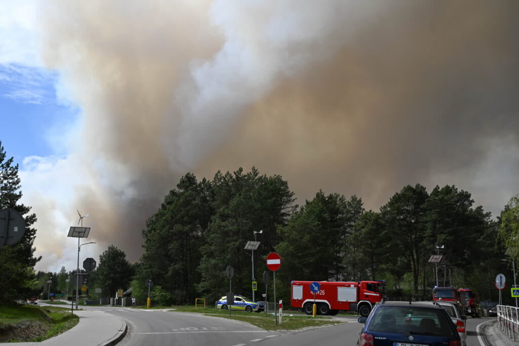 LUBELSKIE POŻAR LASU (6 maja 2026r.). Fot. PAP/Wojtek Jargiło