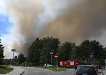 LUBELSKIE POŻAR LASU (6 maja 2026r.). Fot. PAP/Wojtek Jargiło