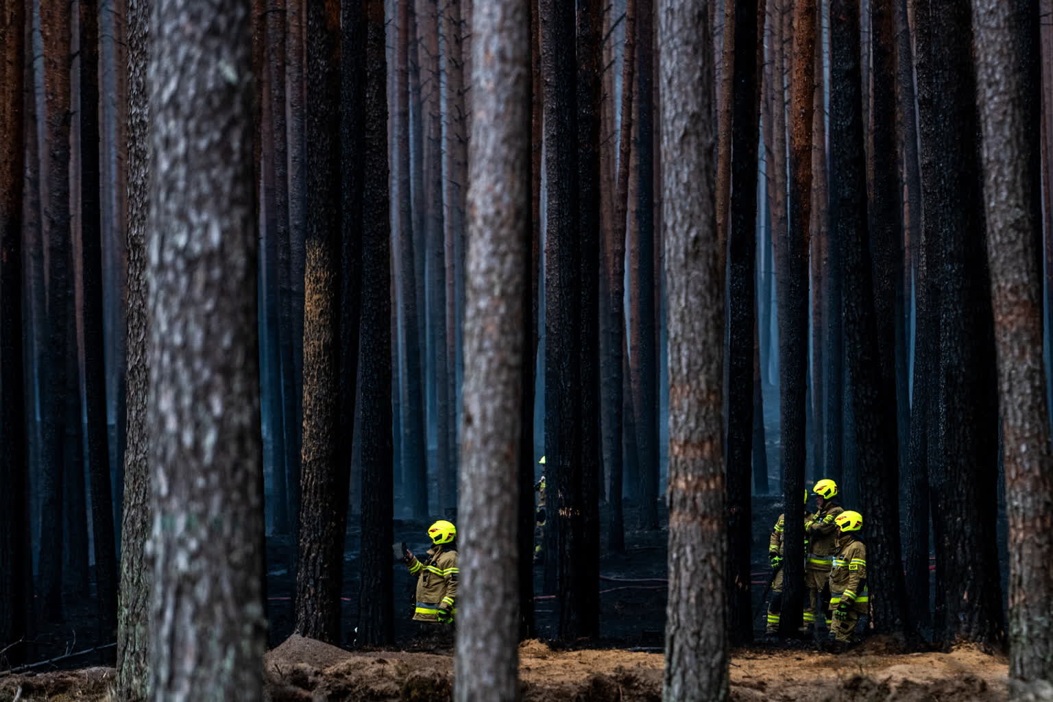 Strażacy cały czas walczą z pożarem w Puszczy Solskiej