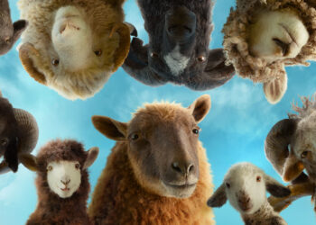 the sheep detectives/facebook