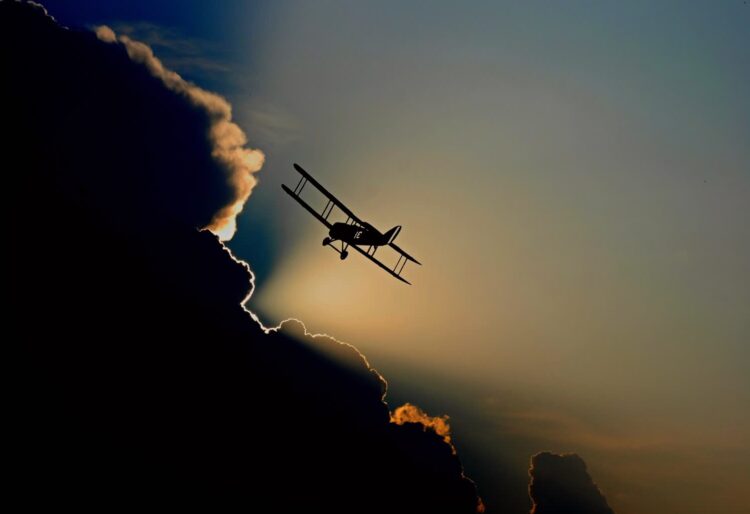 zdjęcie ilustracyjne/Pixabay