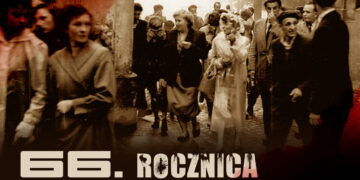 grafika: Urząd Miasta Zielona Góra