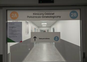 fot: P.Kozubaj