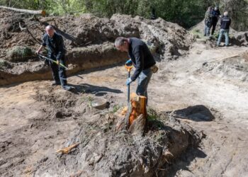 Prace poszukiwawcze na terenie Woli Ostrowieckiej na Wołyniu. Fot. PAP/Vladyslav Musiienko