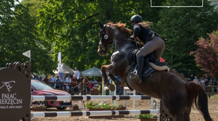 Fot. Mierzęcin Horse Show 2026/FB